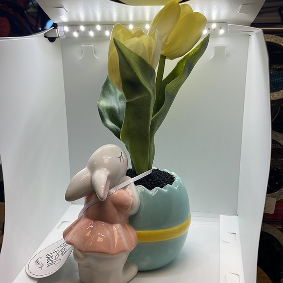 Bunny with tulip vase ! - Picture 4 of 7